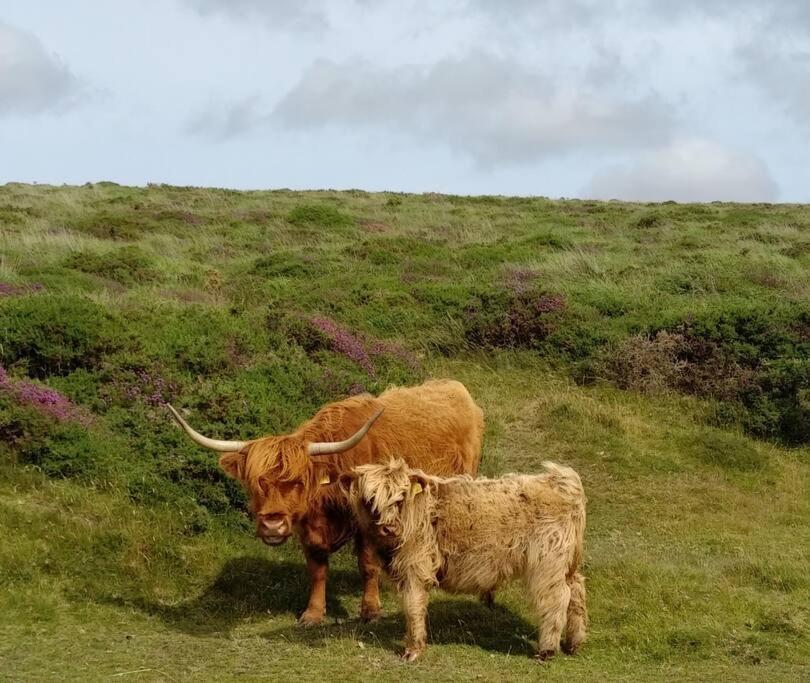 Вилла The Dairy - Quaint 1Br In Dartmoor National Park Hennock Экстерьер фото